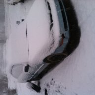 Toyota lady