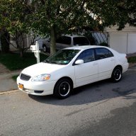 Alex1Corolla