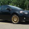 stock16rollaco