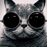 zeffcat
