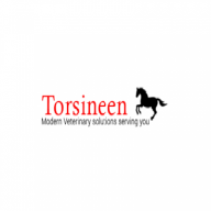 Torsineen